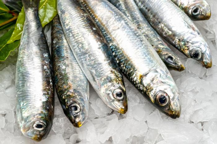 Os 9 Benefícios da Sardinha Para a Saúde